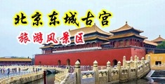 被老师操死视频网站中国北京-东城古宫旅游风景区